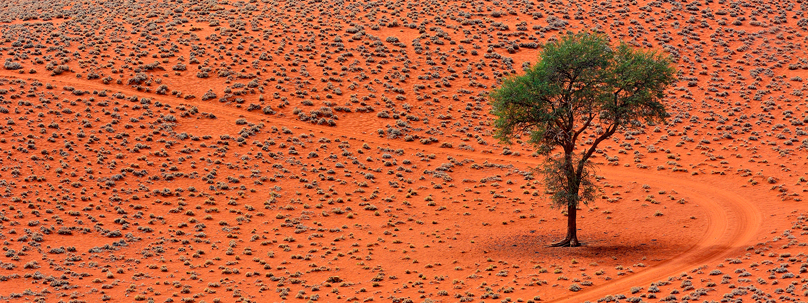 Namibia: dune di fuoco e cieli infiniti